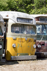 Old busses parked outdoors
