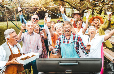Happy senior group having barbecue dinner party in home backyard - Aged friends celebrating...