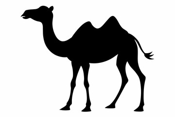 camel-silhouette-vector illustration