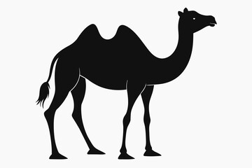 camel-silhouette-vector illustration