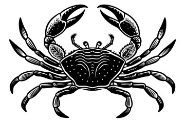 crab-isolated vector illustration -on-white-background