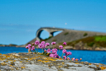 popular bridge along the famous atlantic road in Norway