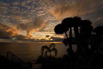 Traumhafter Sonnenuntergang am Horizont des Ozeans mit der Silhouette von Palmen im Vordergrund