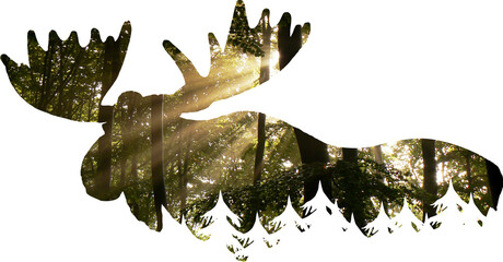 Silhouette Elch mit Tannen - Tier in der Natur Norwegen und Schweden - Kreatives Design Element	