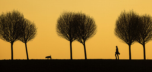black silhouettes against the colourful background of the setting sun with a dog with a mistress - obrazy, fototapety, plakaty