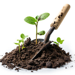 People plant seedlings in the ground for spring growth. Surrounded by young leaves and organic vegetables. Planting.