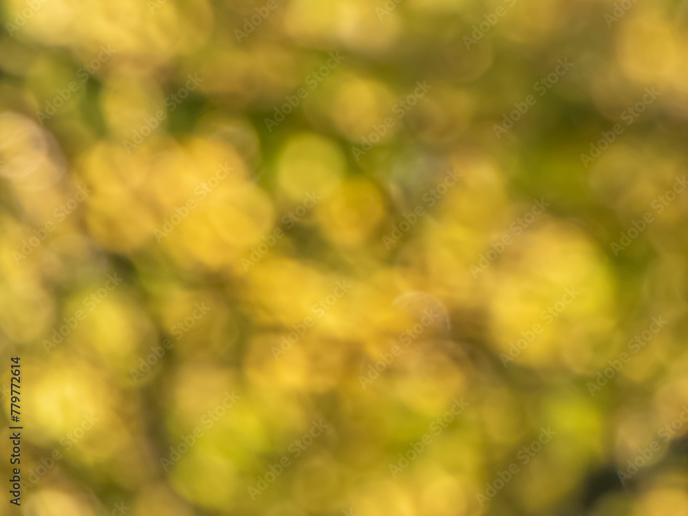 Wall mural bright yellow and black bokeh effect and purposely blurred view of sunlight. blurry background with 