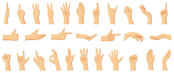 Cartoon hands gestures. Human hand, thumb up, ok and peace sign