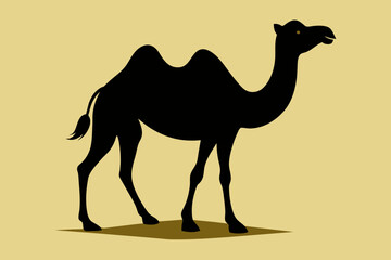 camel on the beach