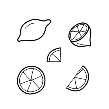 Lemon set drawings, whole and lemon slices. Vector illustration doodle citrus fruit.