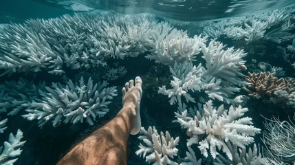 Rolgordijnen A person's bare foot above a serene white coral reef underwater © Natalia