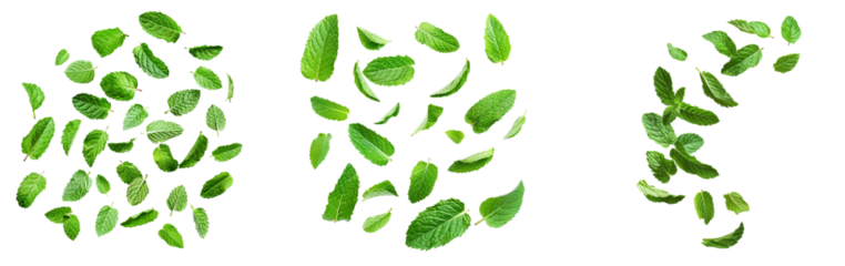 Falling mint leaves, spearmint