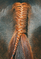 braided brown horse tail