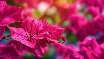 Gordijnen Pink and green leaves with a vibrant pink flower surrounded by nature's beauty © Lunasnow