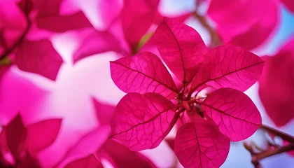 Foto op Plexiglas Pink and green leaves with a vibrant pink flower surrounded by nature's beauty © Lunasnow