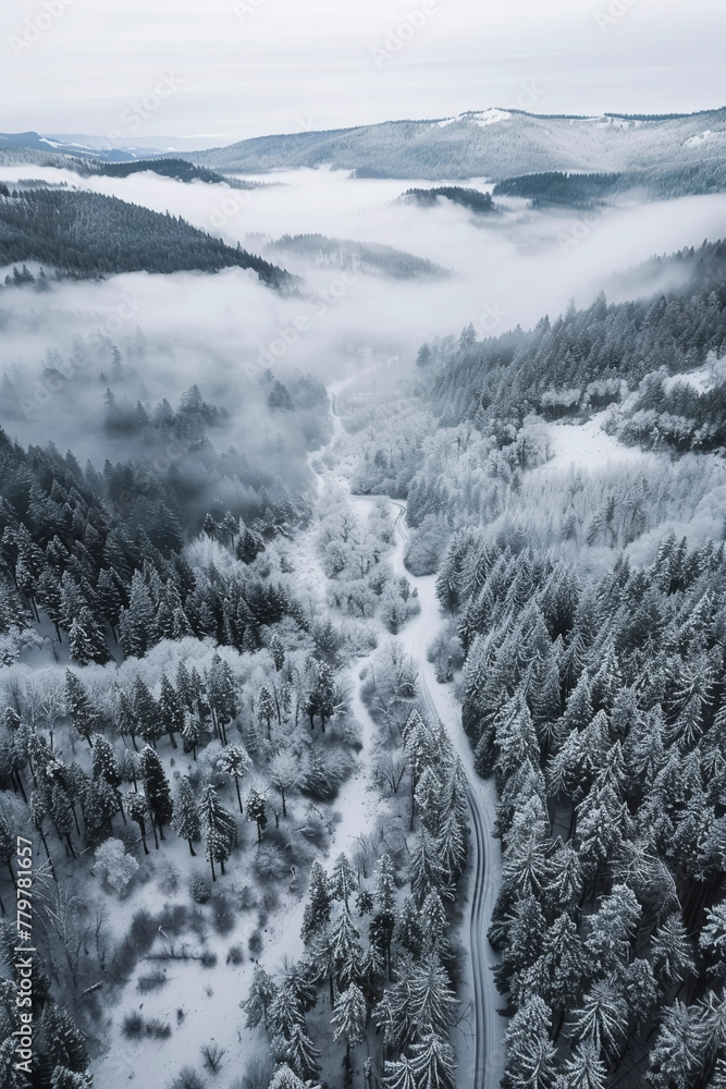 Wall mural Drone photo of a foggy valley in Oregon in winter