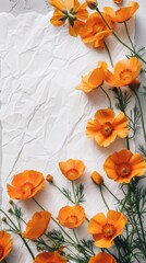 Lively orange calendula flowers artistically placed over a crumpled white paper texture.