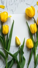 Fresh yellow tulips bloom around a blank white paper on a cracked white surface, a minimalist yet striking visual.