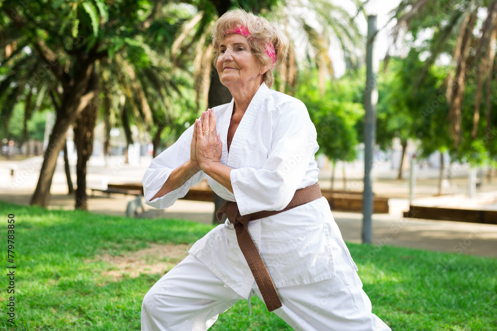 Wall mural Old lady exercising karate in park