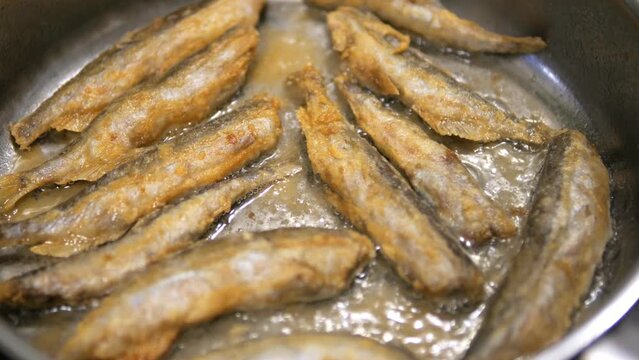 Fried Fish In Pan. Fish Frying In Oil. Roasted Seafood Cuisine 4K