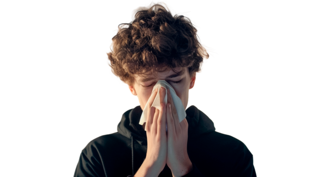 Young man sneezes into tissue. Isolated man is sick, has a cold or has allergic reaction on transparent white background. 