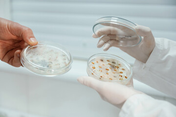 Side view. Male and female scientists are holding containers with trichoderma and sclerotinia, lab research