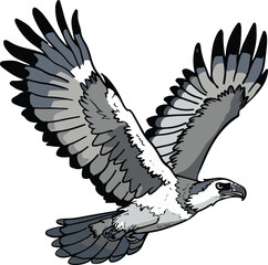 A simple flat illustration of a Harpy Eagle, Panama's national bird
