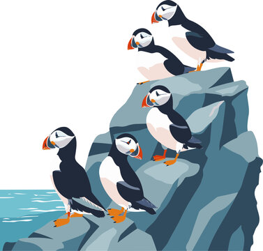 A simple flat illustration of a group of colorful Atlantic puffins on the rocky coast of Newfoundland