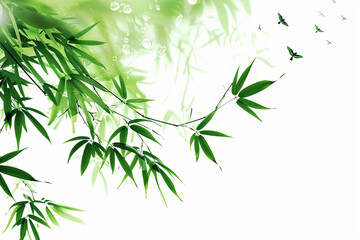 Fototapeta na wymiar a picture of a bamboo tree with green leaves