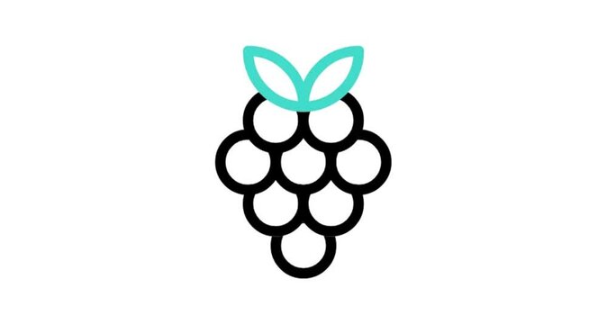 bunch of grapes icon animation video