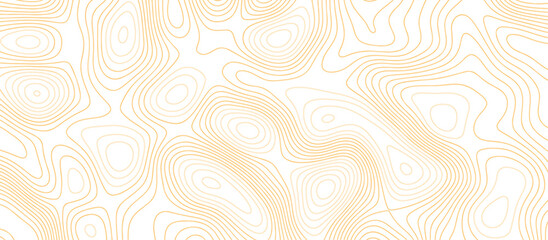 Abstract Light brown paper curved reliefs background .Panorama view gradient multicolor wave curve lines banner background design. Vector illustration. wave Line topography map contour background. - obrazy, fototapety, plakaty
