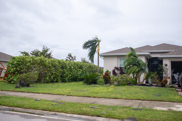 Front yard After Hurricane Ian