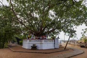 Sigiriya - An ancient rock fortress, Central Province, Sri Lanka