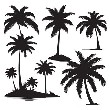 Vector palm tree silhouette clip art sets 1