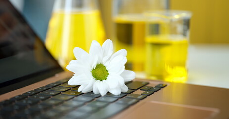 Fresh chamomile lies on laptop keyboard against background of essential oils. Skin benefits of...