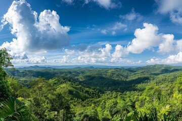 Panoramic Landscape of Dense Tropical Forest and Rolling Hills