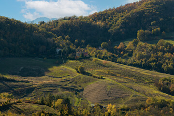 Landscape near Bologna: vineyards, fields, forest on the hills. Bologna, Italy
