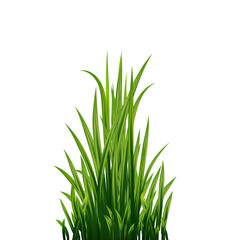 Obraz premium Fresh realistick green grass. Fresh herb: natural, organic, bio, eco label. 