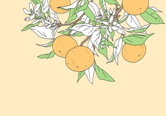 枝付きオレンジのシンプルなカラーのデザイン