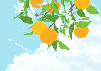 飛行機雲と枝付きオレンジのデザイン
