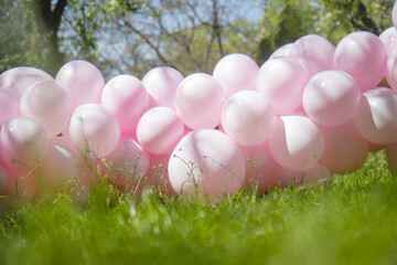 pink inflatable balloons lie on the grass