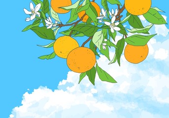 空に浮かぶ巨大な雲と枝付きオレンジのイラスト