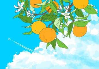 飛行機雲と枝付きオレンジのデザイン