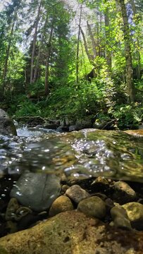 River in a summer forest with cobblestones at the bottom. Half underwater shot with dome. Purest transparent water of a mountain river. Vertical slow motion shot