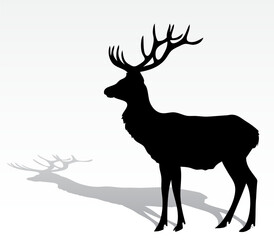 deer silhouette black animal outline with shadow vector illustration