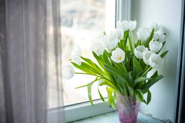 bouquet of white tulips on the window in the room - 779819284