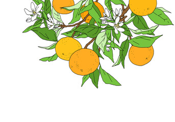 枝付きオレンジのシンプルなカラーのデザイン