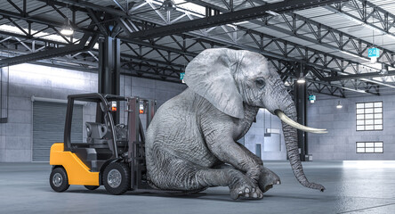 Elephant and forklift in warehouse