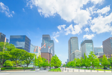 Fototapeta na wymiar 皇居前広場から望む丸の内と東京駅