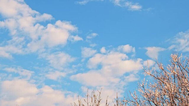Blue sky with clouds for background.